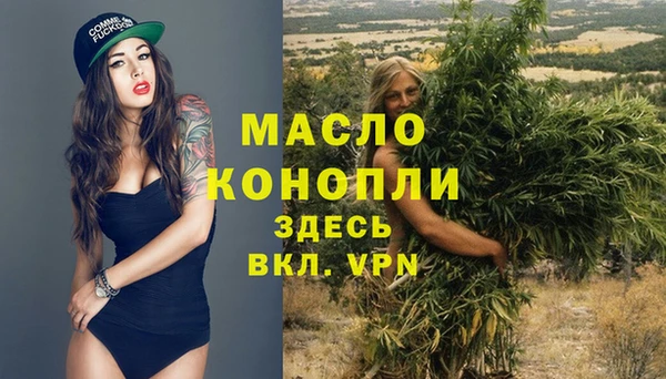 дмт Алексин
