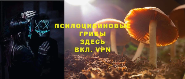 шишки Навашино