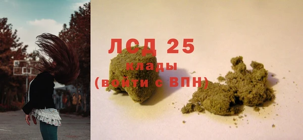 соль ск Надым