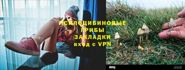СК Алзамай