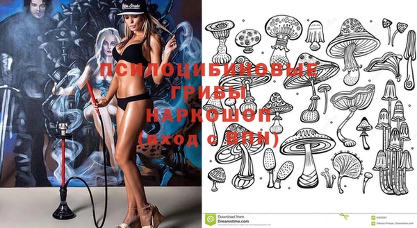 дмт Алексин