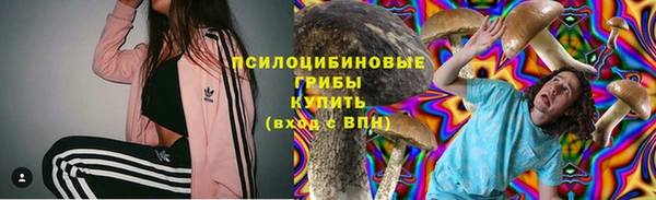 дмт Алексин