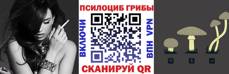 Псилоцибиновые грибы GOLDEN TEACHER  где купить   Клин 