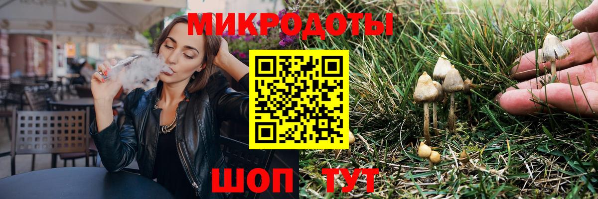 Псилоцибиновые грибы прущие грибы  Вход с VPN  Клин 